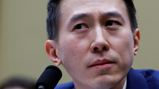 CEO CHEW DURING CONGRESSIONAL HEARING (REUTERS)